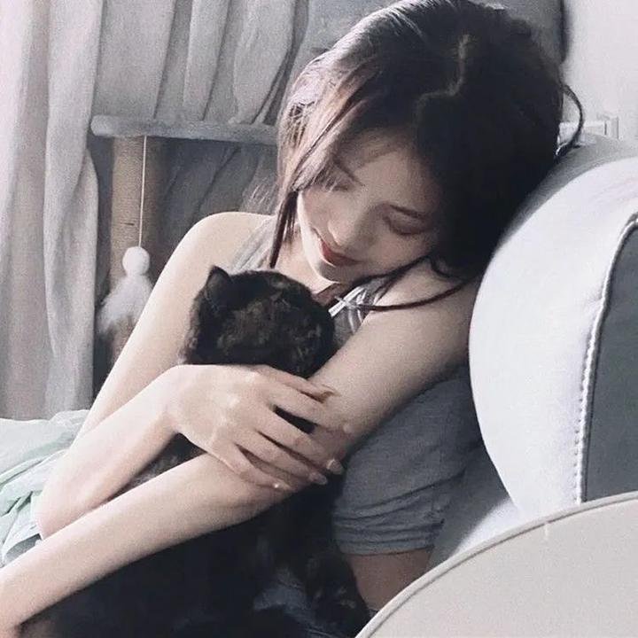 汪星人的奇思妙想 海报